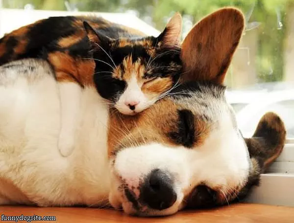 Great Friends