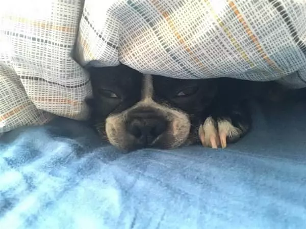 Relaxed Here