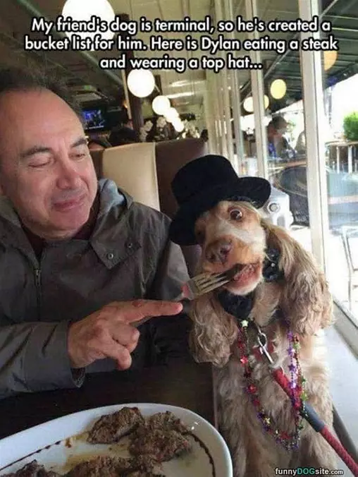 A Big Bite Please