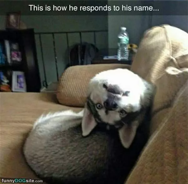 How He Responds To His Name