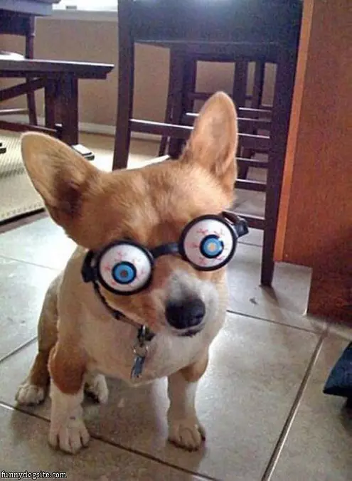 Crazy Eyes