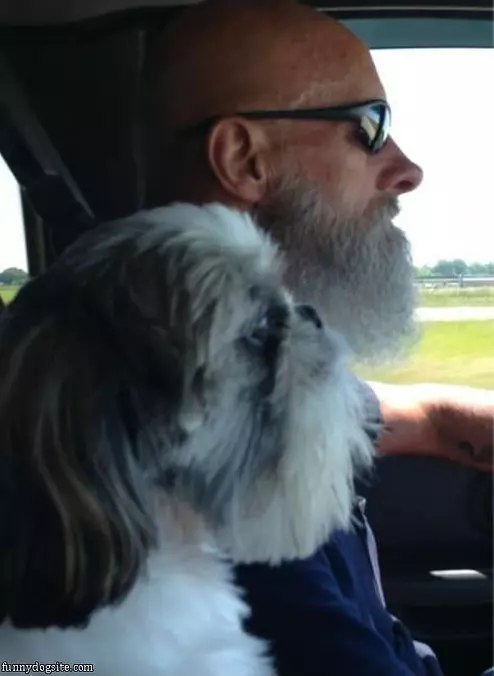 Matching Beards