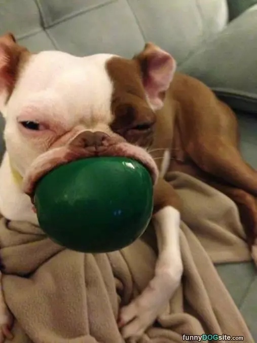 I Fetch Large