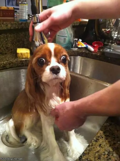 Not Liking My Bath