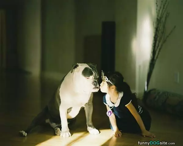 Can I Have A Kiss