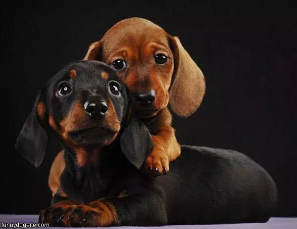 Family Photos