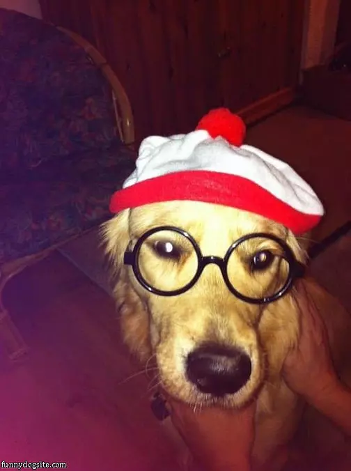 My New Glasses