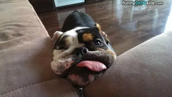 Can I Have A Snacks