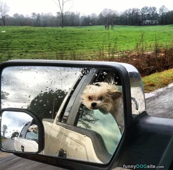 Drive Faster