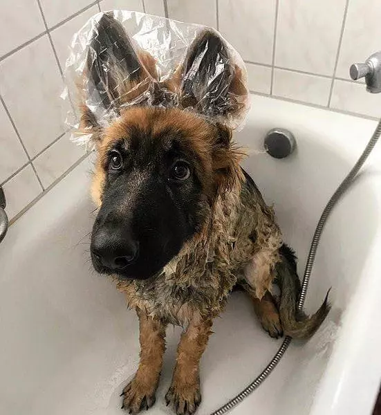 Keeping My Ears Dry