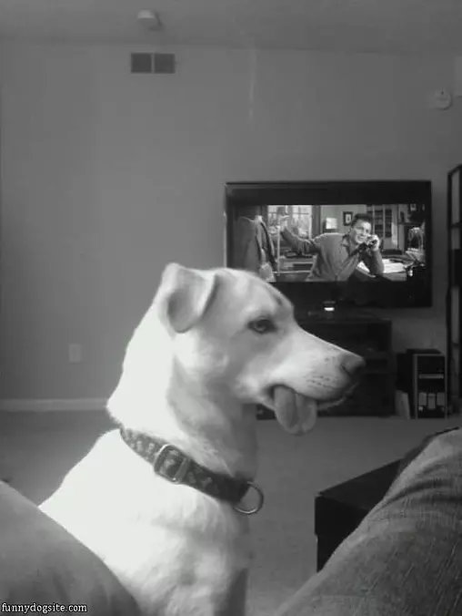 How I Watch Tv