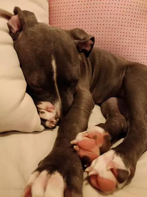 In A Deep Sleep