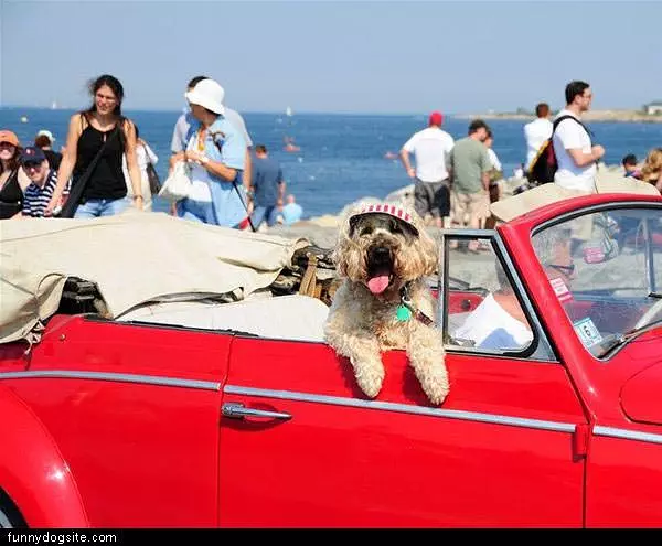 Haning At The Beach