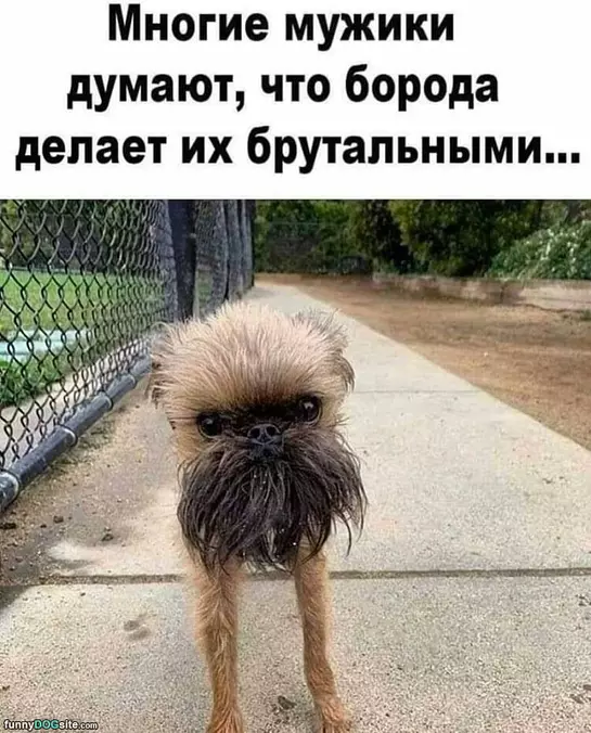 Nice Beard