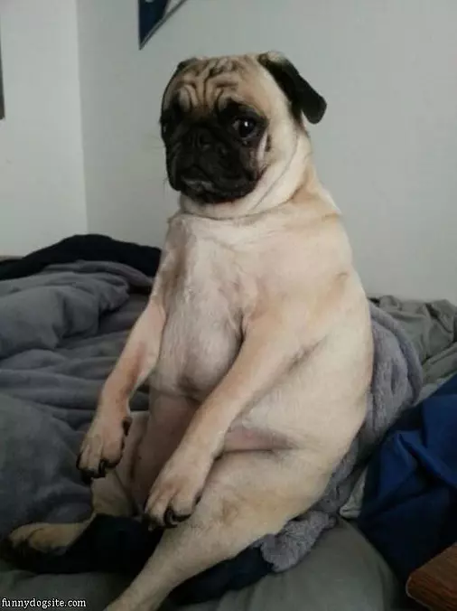 I Sits Around