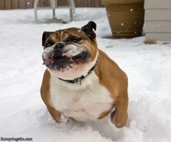 Fatty Running