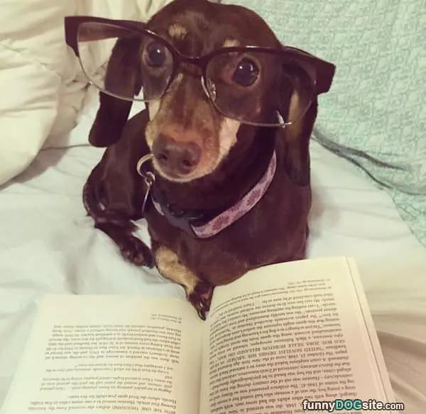 Enhances My Reading