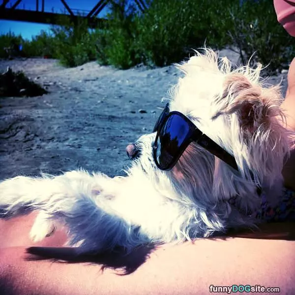 Just Chillin On A Summer Day