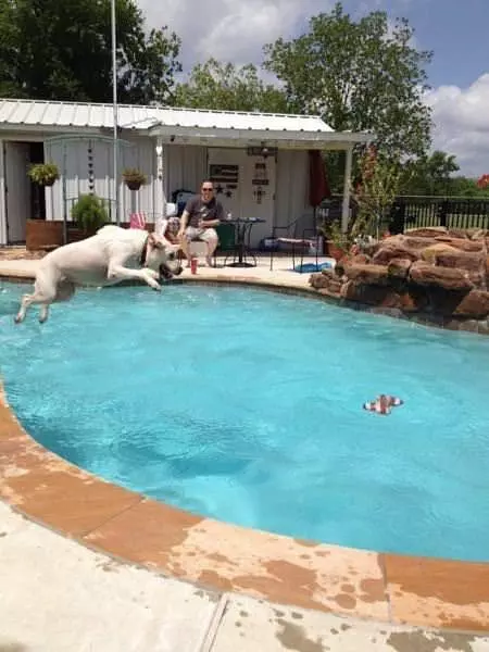 I Am Jumping For It