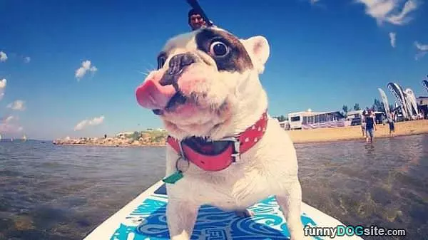Lickkkkkkkk