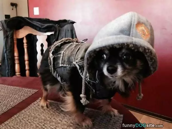 Cold Out There
