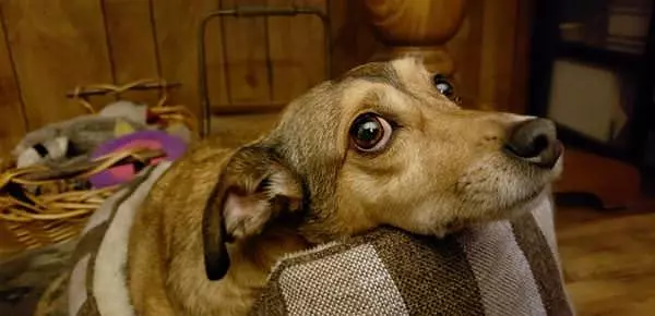 Hey You Got Any Snacks