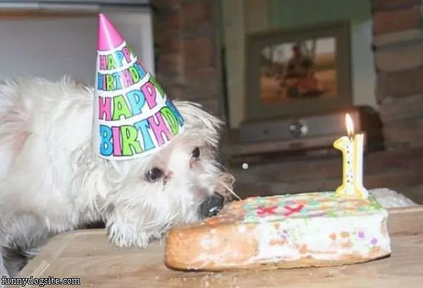 This Is Mah Cake