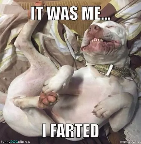 It Was Me