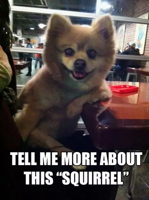 Tell Me More