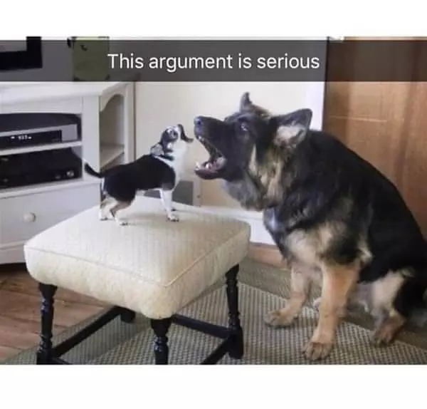 Serious