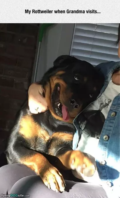 When Grandma Visits