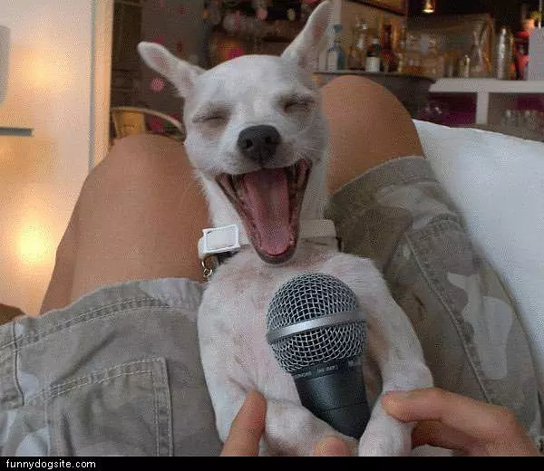 Rock And Roll