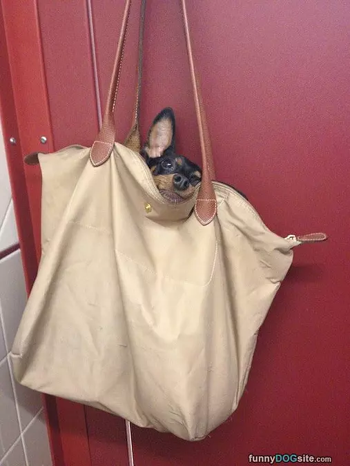 One Bag