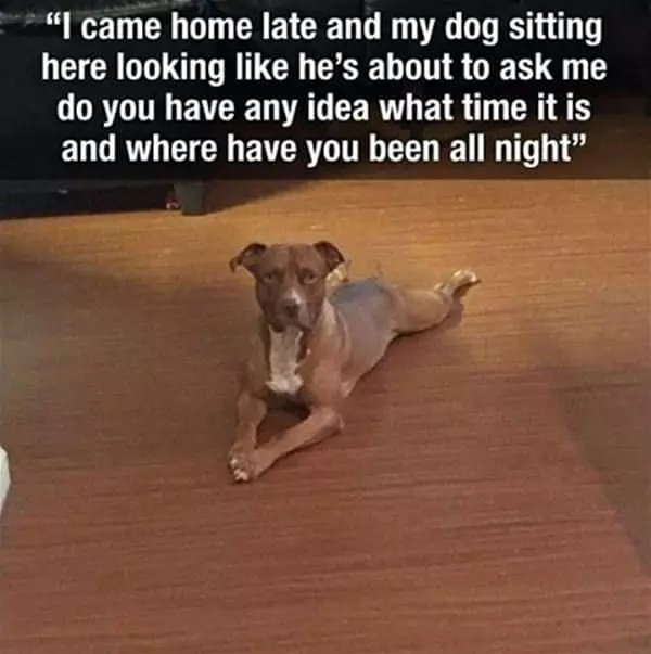 About To Ask Me