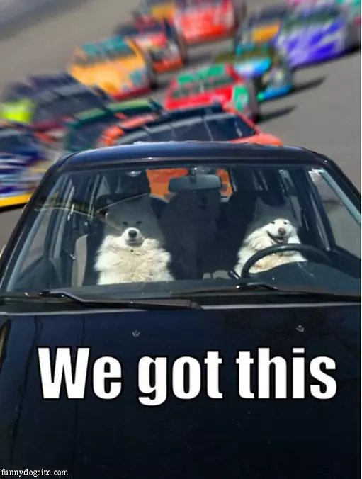 We Got This