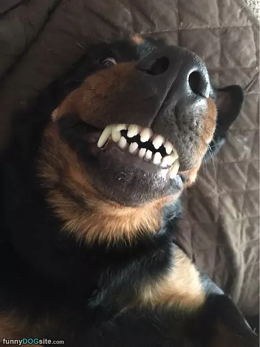 Big Smillless