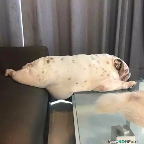 My Belly Is Hanging