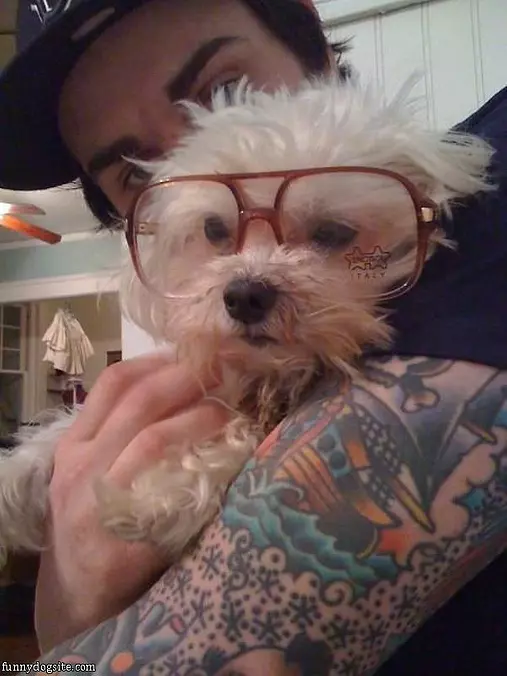 Nice Glasses Dog