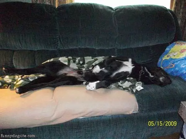 Taking A Huge Nap