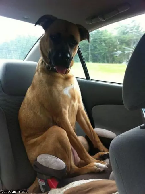 Going For A Ride Today