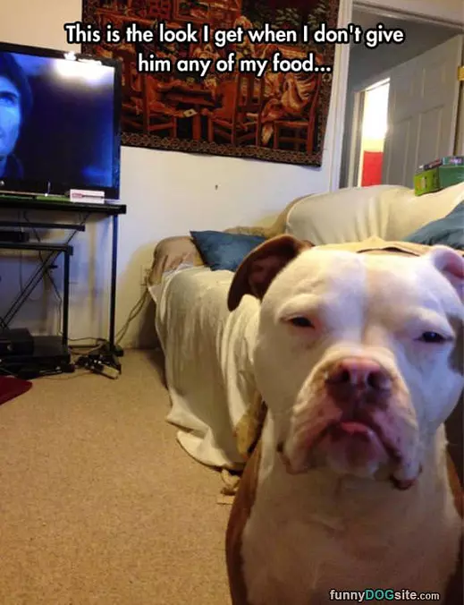 The Look I Get
