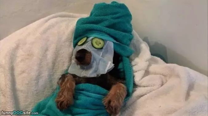 Spa Day