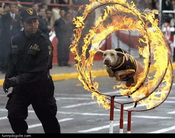 Rings Of Fire