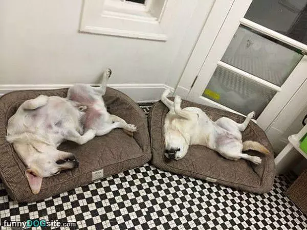 This Is How We Relax
