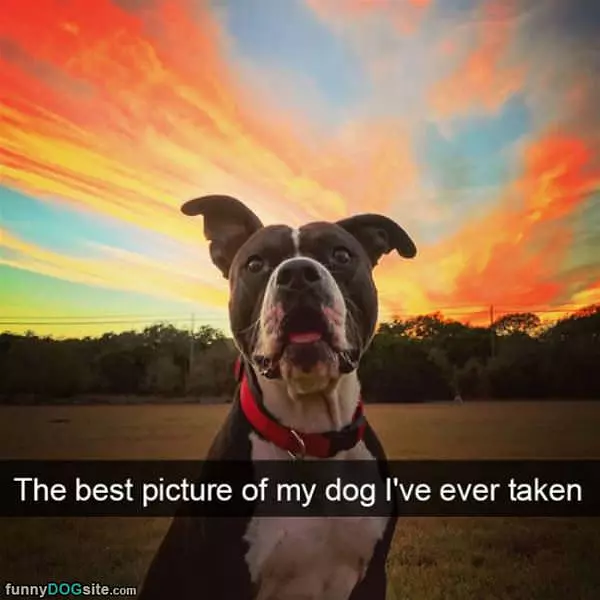 What A Great Picture