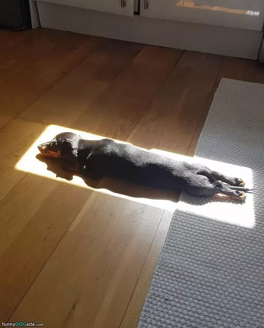 Staying In The Warm