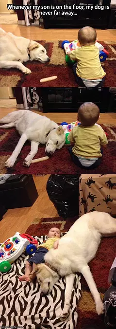 Best Of Friends