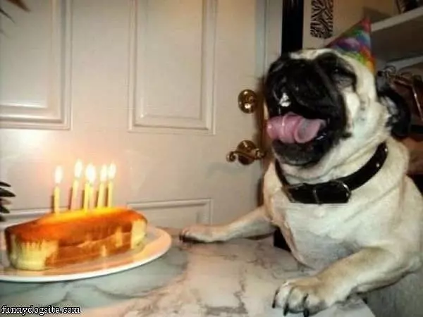 Its Mah Birthday