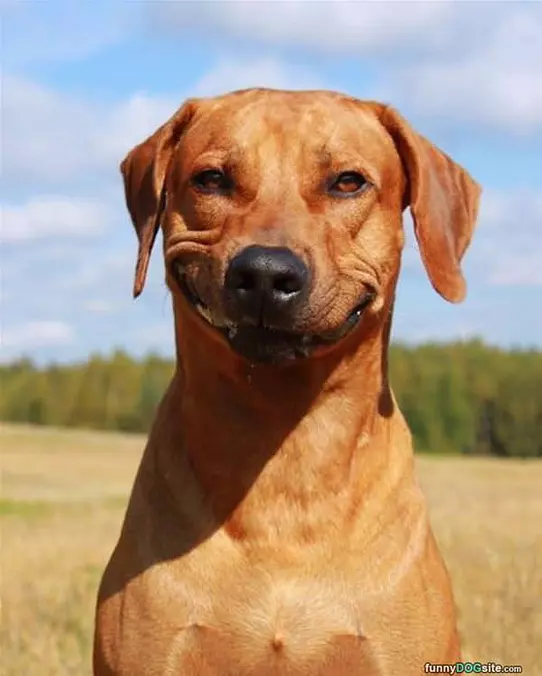 A Big Smile
