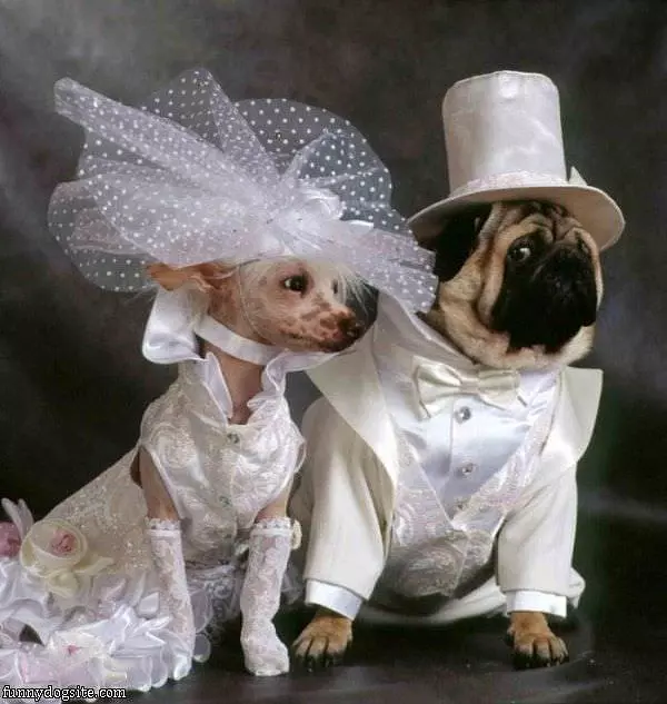 Getting Married